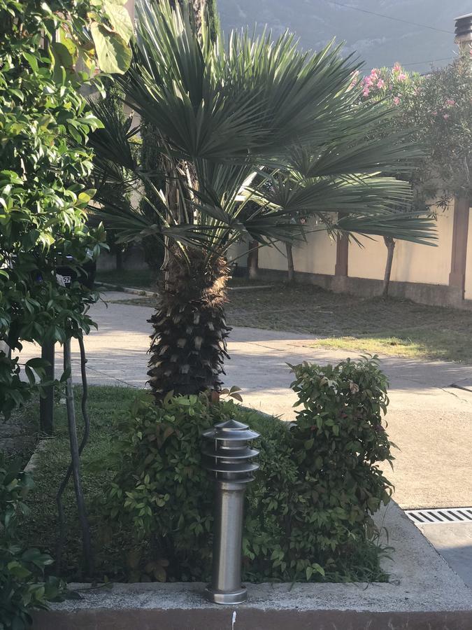Laguna *